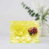 Ladybug Postkarte (Stehend Vorderseite)