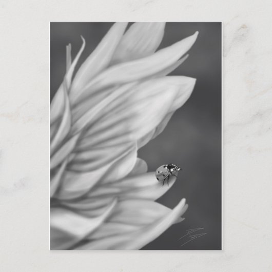 Ladybug Postkarte (Vorderseite)