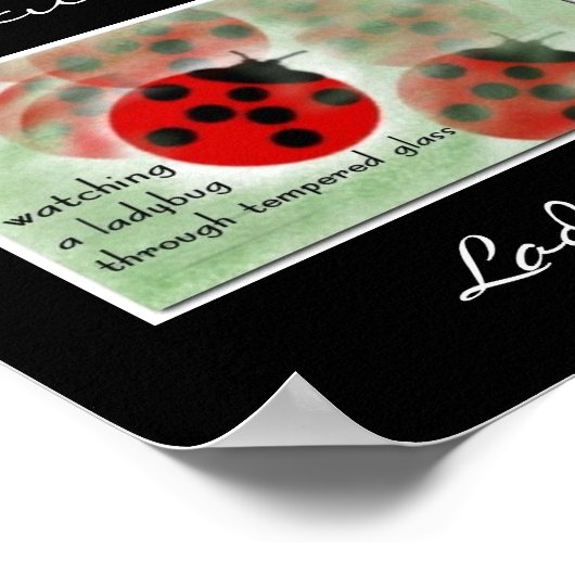 Ladybug Print Poster (Ecke)
