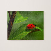 Ladybug Puzzle (Horizontal)