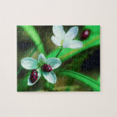 Ladybug Puzzle (Horizontal)