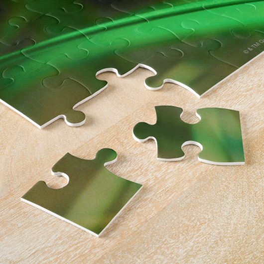 Ladybug Puzzle (Seite)