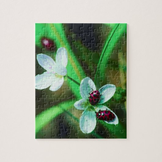 Ladybug Puzzle (Vertikal)