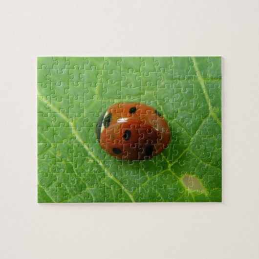 Ladybug Puzzle (Horizontal)