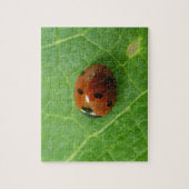 Ladybug Puzzle (Vertikal)