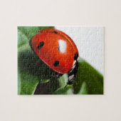 Ladybug Puzzle (Horizontal)