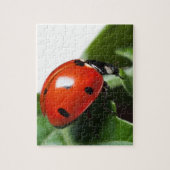 Ladybug Puzzle (Vertikal)