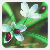 Ladybug Quadratischer Aufkleber (Vorderseite)