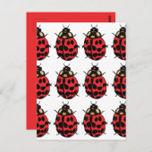 Ladybug Red Black Insect Ladybug Postkarte (Vorne/Hinten)