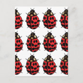 Ladybug Red Black Insect Ladybug Postkarte (Vorderseite)