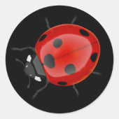 Ladybug Runder Aufkleber (Vorderseite)