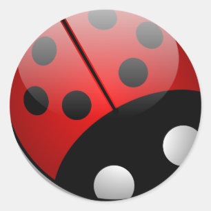 Ladybug Runder Aufkleber