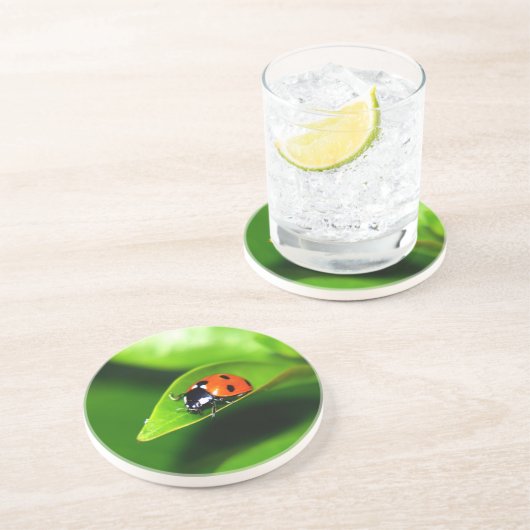 Ladybug Sandstein Untersetzer (Seite)