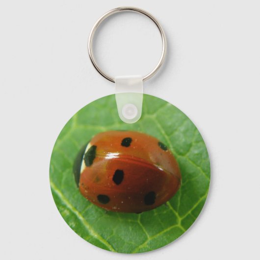Ladybug Schlüsselanhänger (Vorderseite)