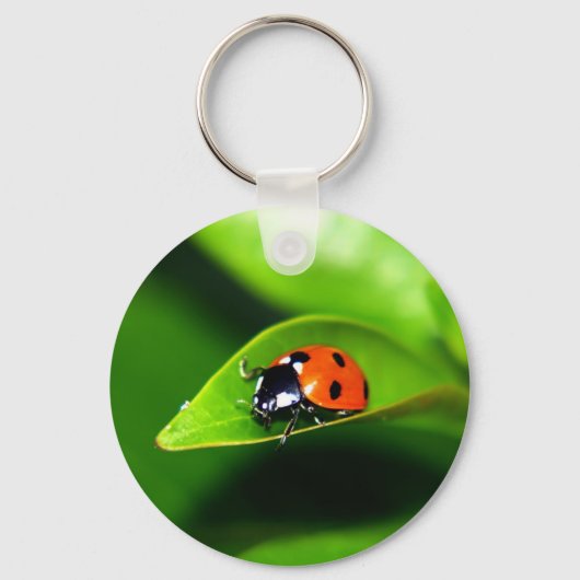 Ladybug Schlüsselanhänger (Vorderseite)