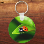 Ladybug Schlüsselanhänger (Vorderseite)