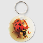 Ladybug Schlüsselanhänger (Vorderseite)