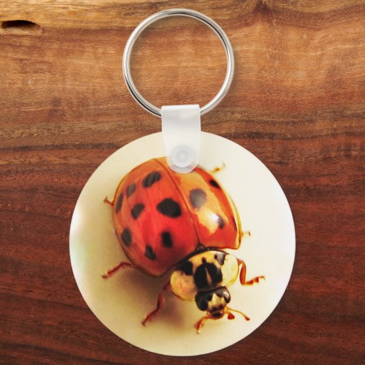 Ladybug Schlüsselanhänger (Vorderseite)