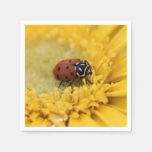Ladybug Serviette (Vorderseite)