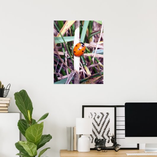 Ladybug Spotlight Poster (Heimbüro)