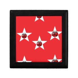 Ladybug stars erinnerungskiste