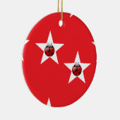 Ladybug stars keramik ornament (Rechts)