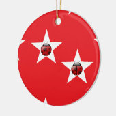 Ladybug stars keramik ornament (Links)