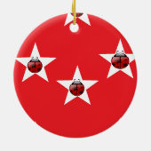 Ladybug stars keramik ornament (Hinten)