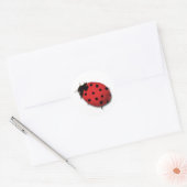 Ladybug Stickers (Umschlag)