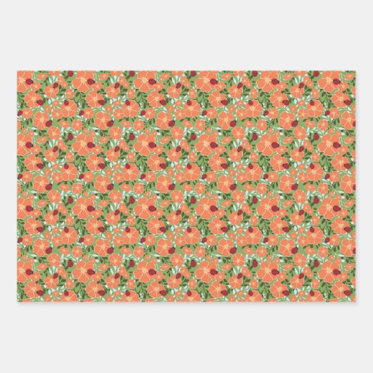 Ladybug Summer Floral Wrapping Paper Multi-Set Geschenkpapier Set (Vorderseite)