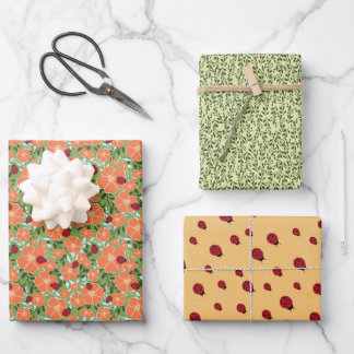 Ladybug Summer Floral Wrapping Paper Multi-Set Geschenkpapier Set