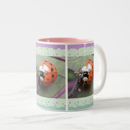 Ladybug-Tasse Zweifarbige Tasse (VorderseiteRechts)