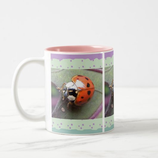 Ladybug-Tasse Zweifarbige Tasse (Links)