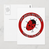 Ladybug-Taste Postkarte (Vorne/Hinten)