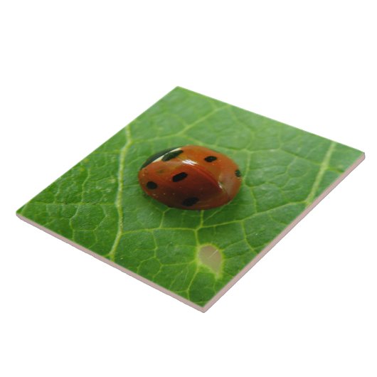 Ladybug Tile Fliese (Seite)
