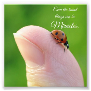Ladybug Tiny Miracles Quote Square Foto drucken