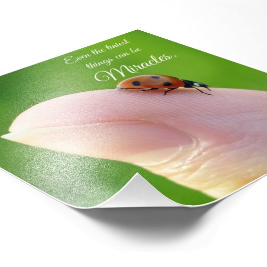 Ladybug Tiny Miracles Quote Square Foto drucken (Ecke)