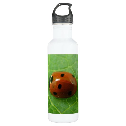 Ladybug Trinkflasche (Vorderseite)