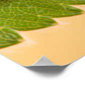 Ladybug über grünes Leaf Poster (Ecke)