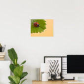 Ladybug über grünes Leaf Poster (Heimbüro)