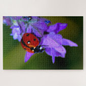 Ladybug über Lavendelpuzzi Puzzle (Horizontal)