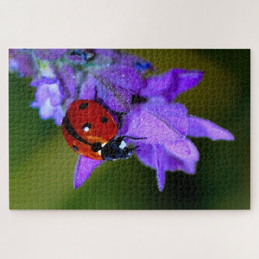Ladybug über Lavendelpuzzi Puzzle (Horizontal)