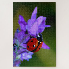 Ladybug über Lavendelpuzzi Puzzle