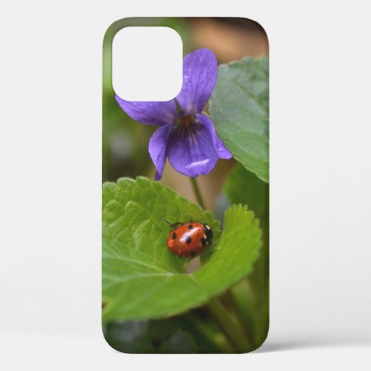 Ladybug über süße Violettsorten-Blume Case-Mate iPhone Hülle (Rückseite)