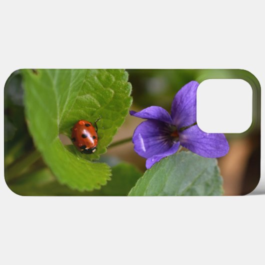 Ladybug über süße Violettsorten-Blume Case-Mate iPhone Hülle (Rückseite (Horizontal))
