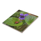Ladybug über süße Violettsorten-Blume Fliese (Seite)