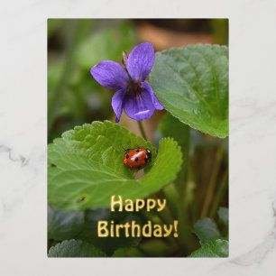 Ladybug über süße Violettsorten-Blume Folien Feiertagspostkarte