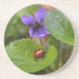 Ladybug über süße Violettsorten-Blume Getränkeuntersetzer