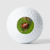 Ladybug über süße Violettsorten-Blume Golfball (Vorderseite)