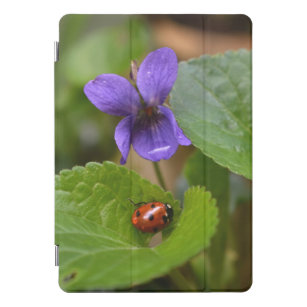 Ladybug über süße Violettsorten-Blume iPad Pro Cover